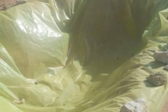 compost-day1
