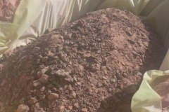 compost-day8