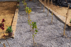 Fatimalus-surprise-4