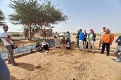 Fatimalus-surprise-5