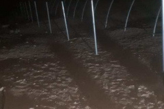 putting-up-the-polytunnel-16