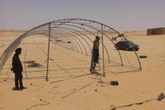 putting-up-the-polytunnel-9